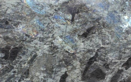 Blue Flowers / Big Flowers