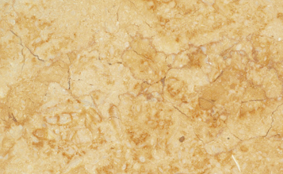 Sunny Dark / Sunny Gold