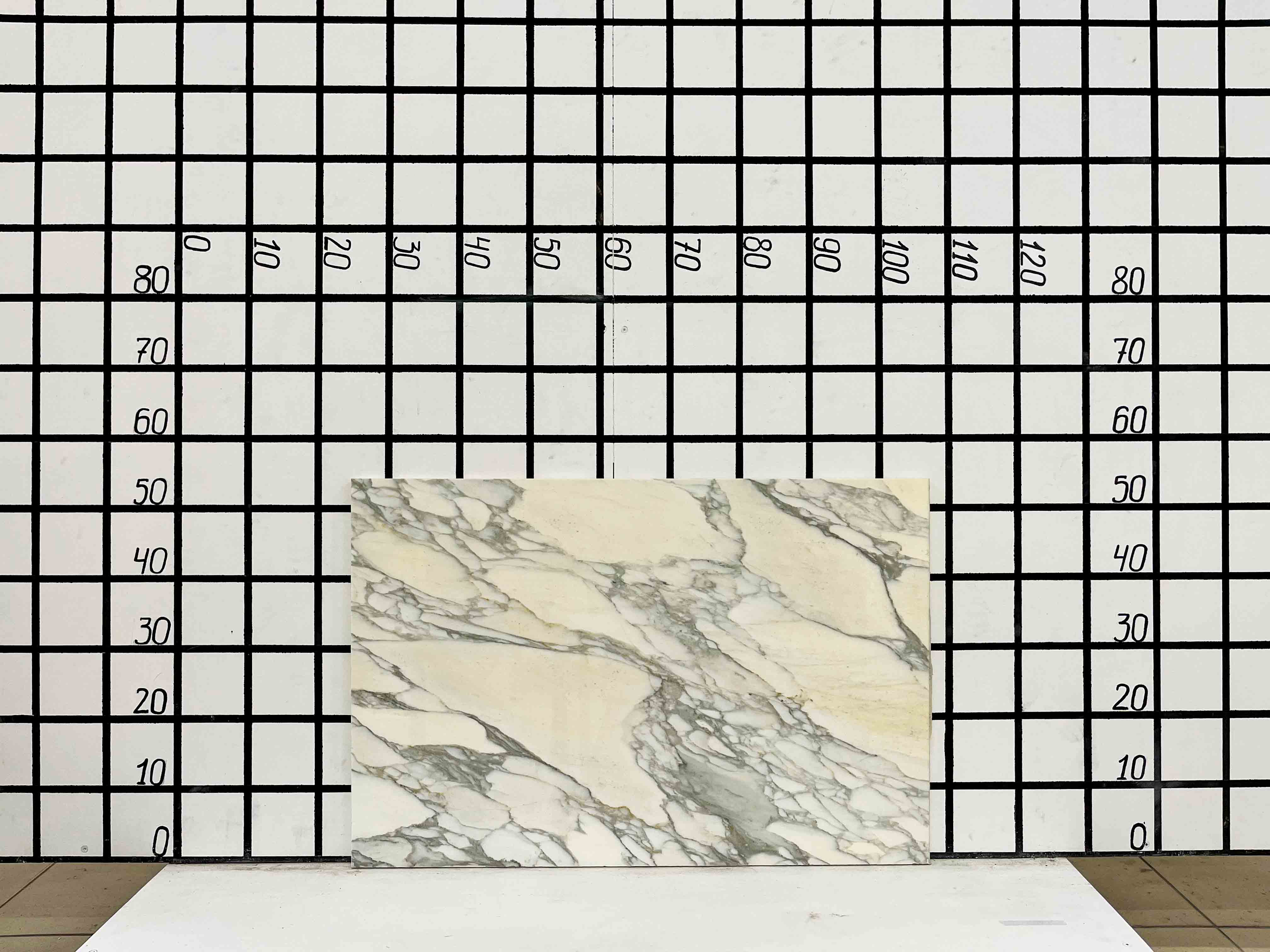 Изображение Заготовка F2369 (800х540х20 мм)/Мрамор Calacatta/Белый/Полировка