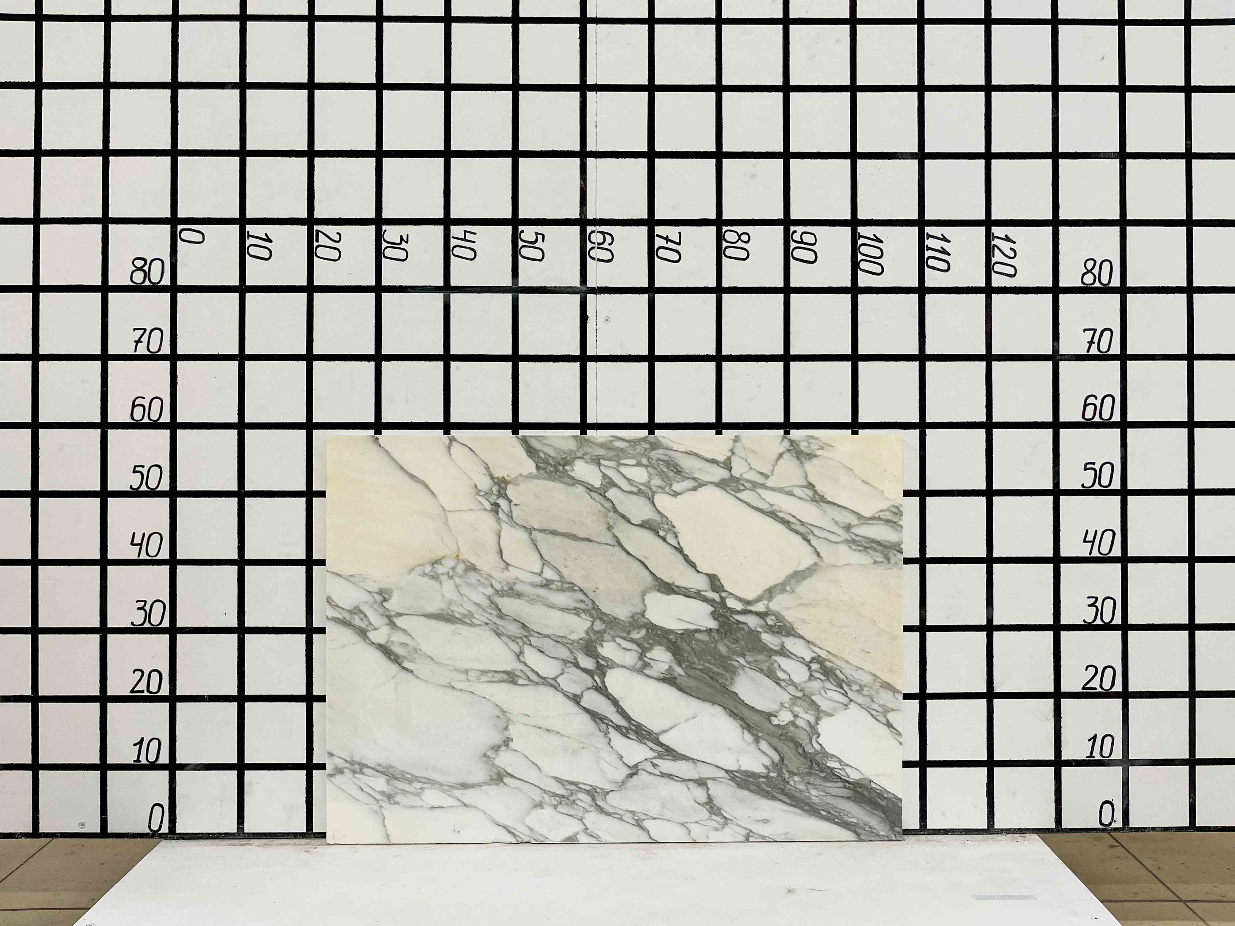 Изображение Заготовка F2370 (820х580х20 мм)/Мрамор Calacatta/Белый/Полировка