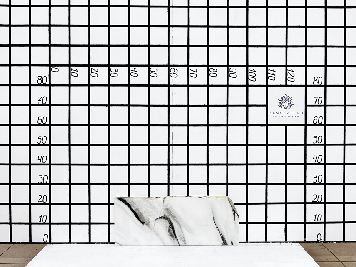 Изображение Заготовка F3348 (560х220х20 мм)/Мрамор Panda White/Черно-белый/Полировка