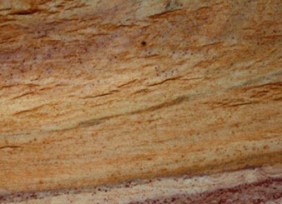 Calipso Gold / Calypso Gold