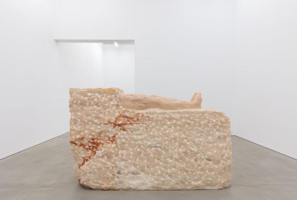 Выставка Rosa Aurora Rosa изображение 3