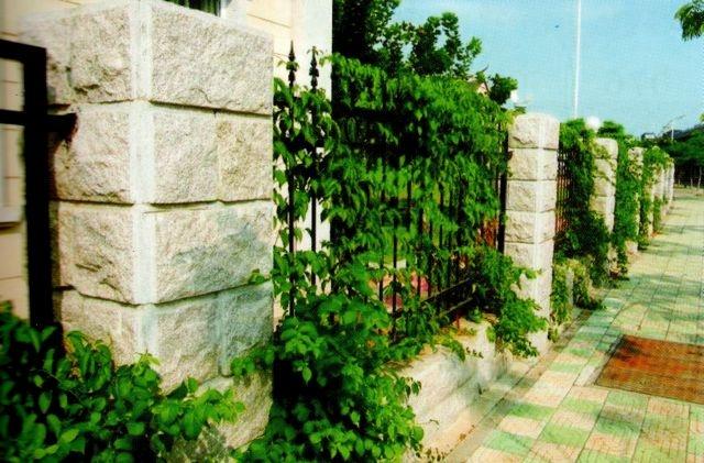 Известняк "скала"