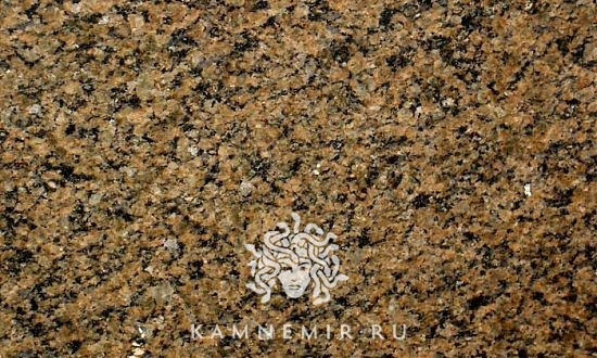 Tropical Brown / Tropic Brown - изображение 2