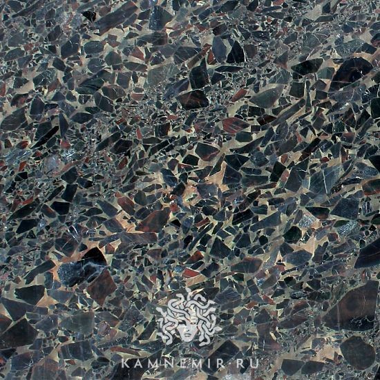 Black Beauty - изображение 1