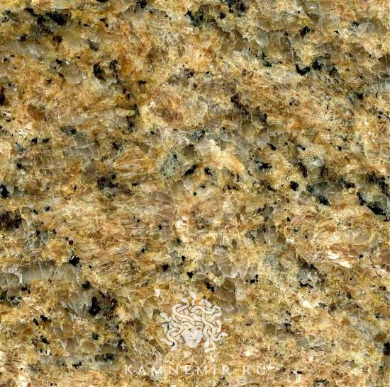 Giallo Veneziano - изображение 1