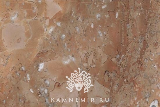 Etruscan Rose - изображение 1