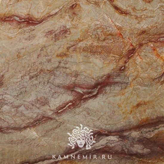 Brazilian Dream - изображение 2