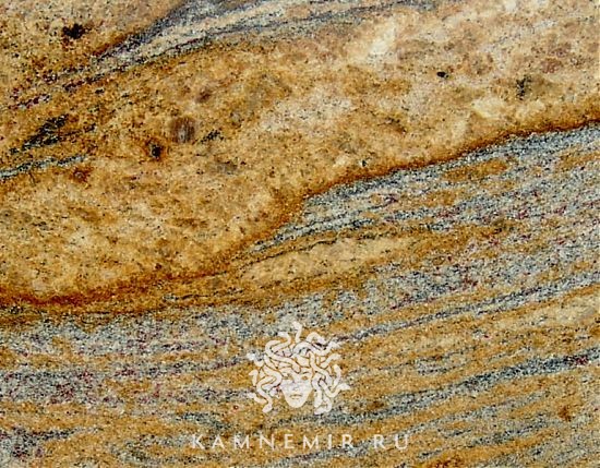 Colombo Gold - изображение 2