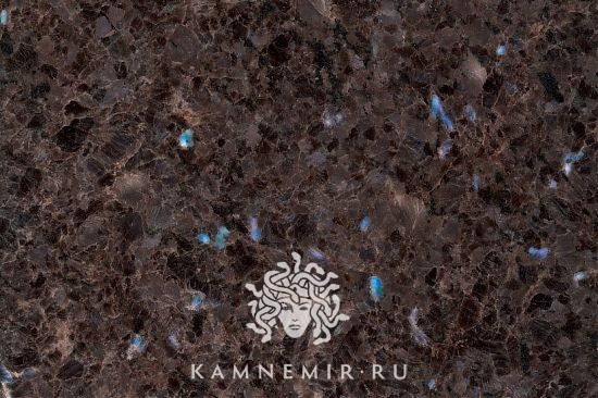 Labrador Antique - изображение 2