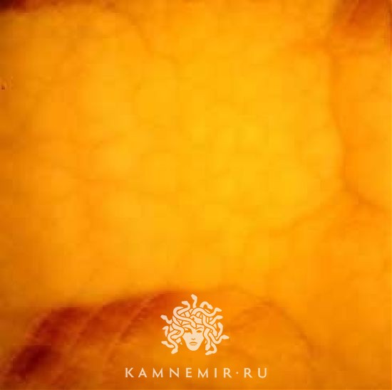 Onyx Ambra - изображение 3