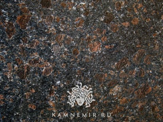 Tan Brown - изображение 1