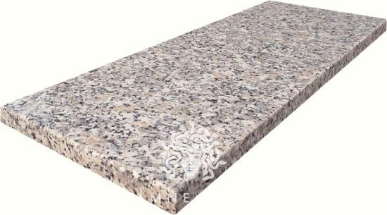 Rosa Beta - фото 2