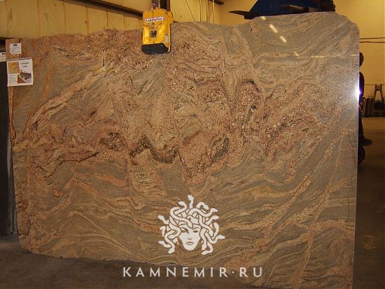 Colombo Gold - фото 4