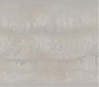 Фрагмент текстуры Primordia