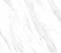 Фрагмент текстуры Clacatta Elegance