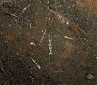 Фрагмент текстуры Brown fossil