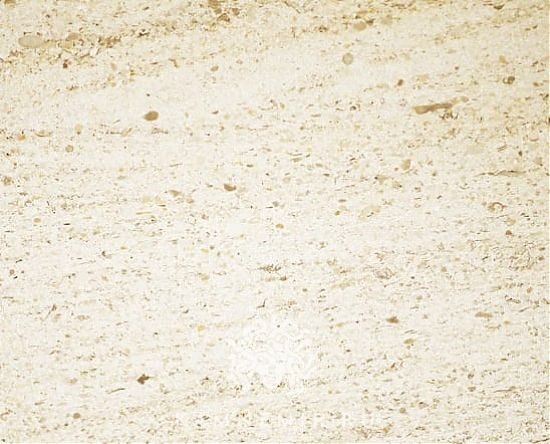 Moca Creme - изображение 1