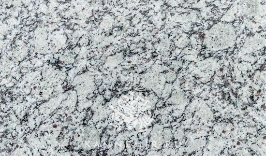 Bianco Primata - изображение 2