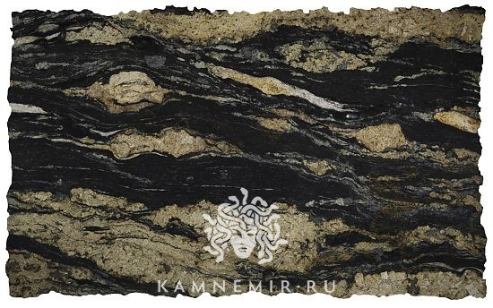 Spectrus - фото 1