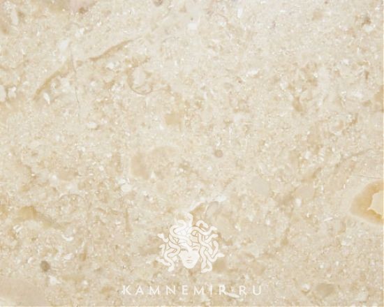 Crema Nova / Crema Nuova - изображение 1