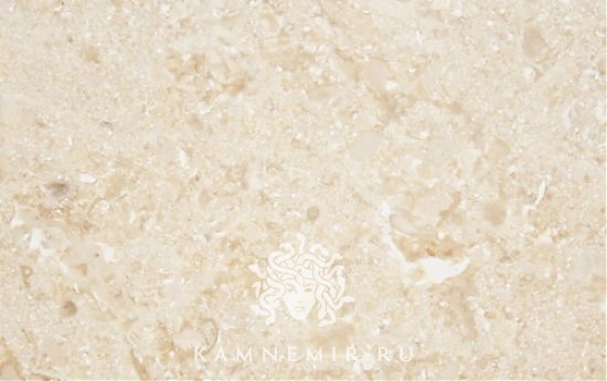 Crema Nova / Crema Nuova - изображение 2