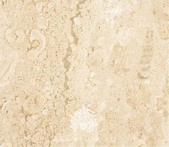 Breccia Sardo  - изображение 2