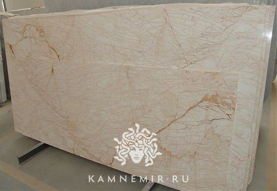 Golden Spider - фото 5