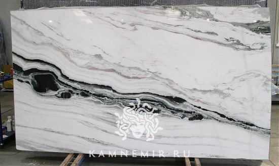 Panda White - фото 5