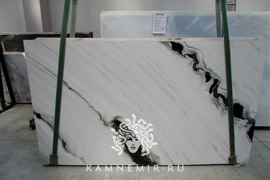 Panda White - фото 7