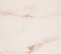 Фрагмент текстуры Rosa Aurora