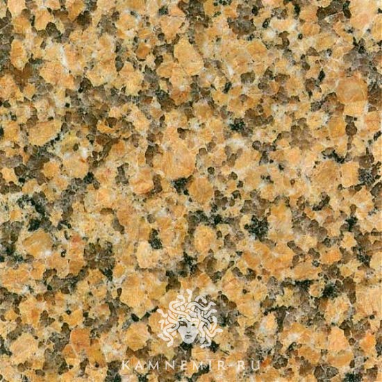 Жельтау желтый - изображение 2