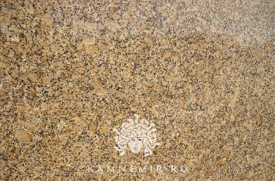 Жельтау желтый - изображение 3