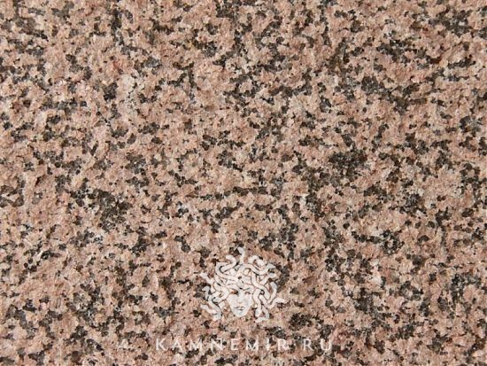 Жельтау розовый - изображение 4