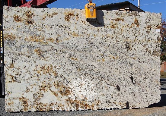 Delicatus Gold / Delicatus Brown - фото 3