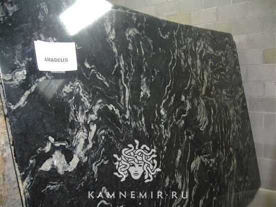 Amadeus - фото 3