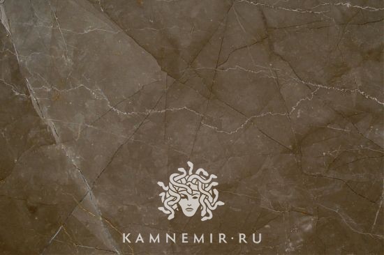 Bronze Amani - изображение 1