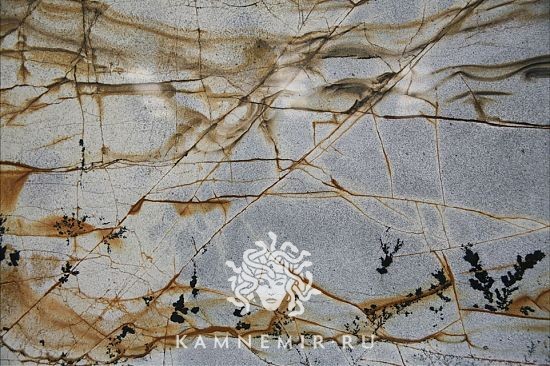 Blue Roma - изображение 1