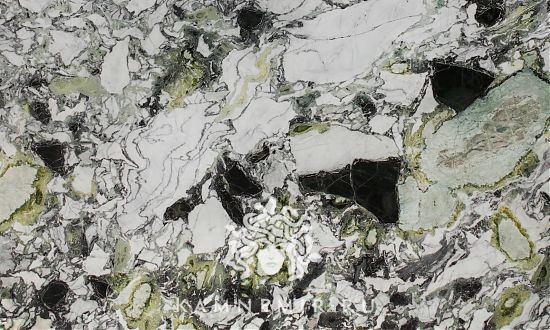 White Beauty - изображение 1