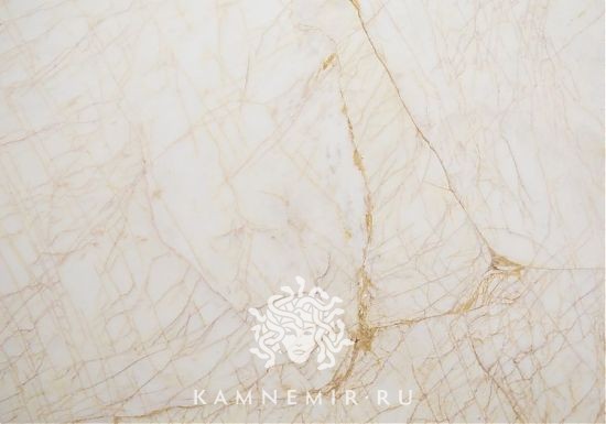 Golden Spider - изображение 1