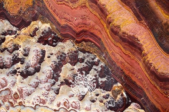 Rosso / Rosso Passion - изображение 2