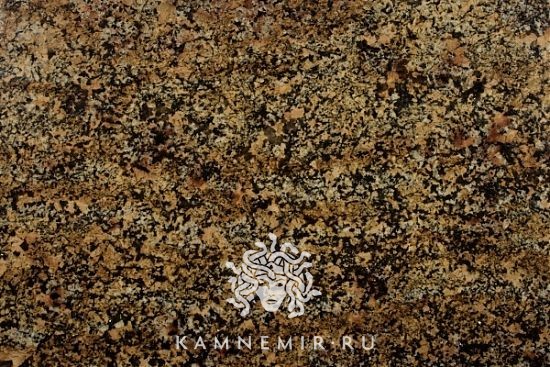 Spring Leaf - изображение 2