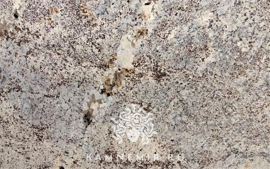 Alaska White - изображение 2