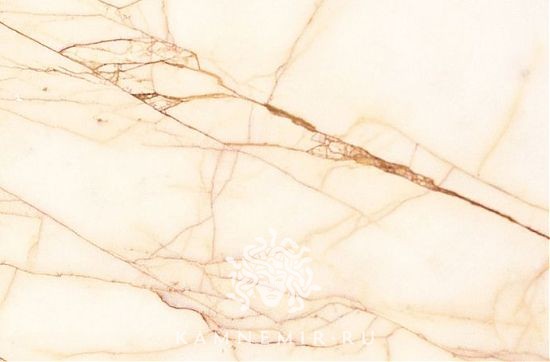 Golden Spider - изображение 2