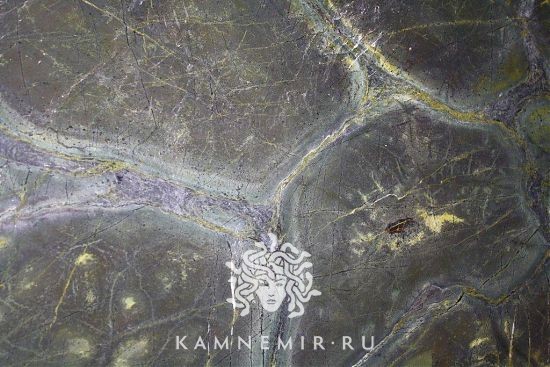 Vitoria Regia - изображение 2