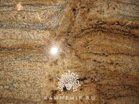 Golden Ray / Gold Ray - изображение 2