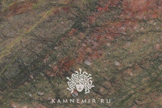 Kangaroo - изображение 3