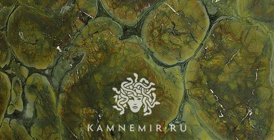 Vitoria Regia - изображение 3