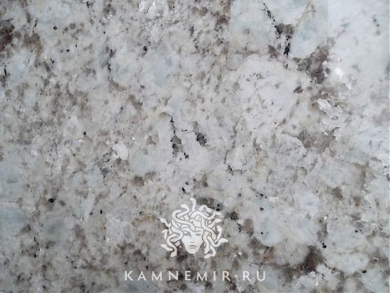 Alaska White - изображение 5